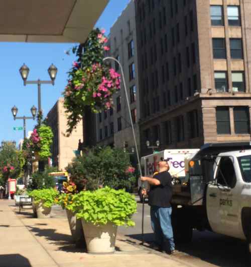 Parks Dept employee watering plants along Washington Ave