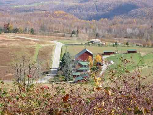 View from Kentuck Knob by Frank Lloyd Wright in rural Pennsylvania, about an hour from Flight 93 crash site. October 25, 2001. 